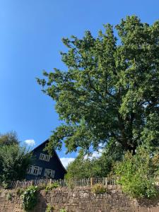 a tree over a stone wall in front of a house at Nibelungen Odenwaldhaus in Mossautal