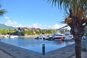 リヴィエール・ノワールにあるLuxury Waterfront Apartmentの水上の船とヤシの木のマリーナ