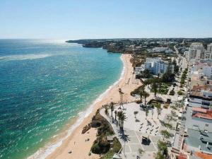 an aerial view of a beach with palm trees and the ocean at Timeless Beach III Apartment in Armação de Pêra