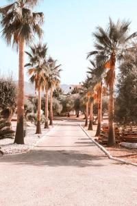 Fotografie z fotogalerie ubytování Finca Besito v destinaci Alhaurín el Grande