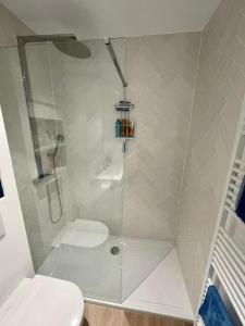 La salle de bains est pourvue d'une douche en verre et de toilettes. dans l'établissement Appartement 't Pand, à Nieuport