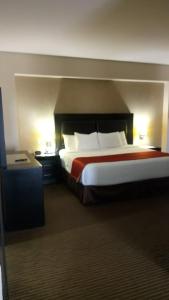 a hotel room with a large bed and two lamps at Hotel La Mina Parral in Hidalgo del Parral