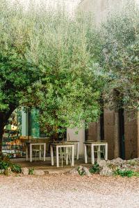 un groupe de tables sous un arbre devant un bâtiment dans l'établissement Cooking and Nature - Emotional Hotel, à Alvados