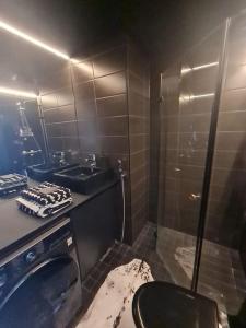 a bathroom with a shower and a sink and a toilet at ROVIO ART APARTMENTS Gummeruksenkatu 5 Jyväskylä in Jyväskylä
