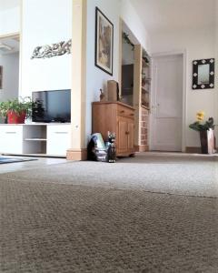 Fotografie z fotogalerie ubytování Woody v destinaci Valjevo