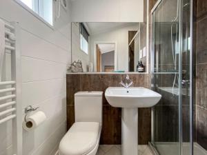 uma casa de banho com um WC e um lavatório em Alde Lodge - 5 mins from beach with EV Point em Aldeburgh