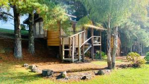 uma cabana de madeira com uma escada ao lado de uma árvore em Estalagem Santo Antônio em Urubici