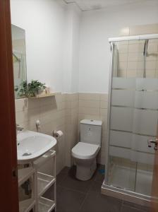 La salle de bains est pourvue de toilettes, d'un lavabo et d'une douche. dans l'établissement Casa San Isidro, à El Pedroso