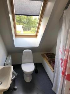 a bathroom with a toilet and a window at Istrup gammel skole in Bedsted Thy