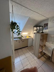 una pequeña cocina con fregadero y mesa en Apartamento Lausanne, en Lausana