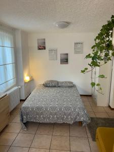 1 dormitorio con cama y planta en Apartamento Lausanne, en Lausana