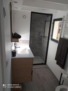 a small bathroom with a sink and a shower at Maisonnette en bord de rivière tout près du Mans in La Bazoge