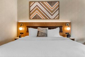 コロンビアにあるCambria Hotel Columbia Downtown the Vistaのベッドルーム1室(大型ベッド1台、枕2つ付) +37枚の写真