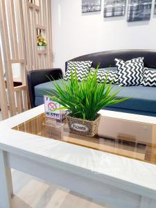 a coffee table with two plants on top of it at Lux апартаменты в центре Караганды на 45 квартале in Karagandy