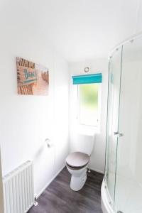 a bathroom with a toilet and a glass shower at Spacious Homely Lakeside Lodge close to the Beaches in Chichester
