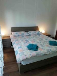 a bedroom with a bed with two blue pillows on it at Grande appartamento in Centro, 4 posti letto in Gorizia