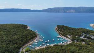 an aerial view of a lake with boats in the water at Apartment Pin in Pinezici +10 photos