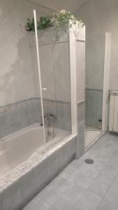y baño con ducha y bañera. en A Morada de Julia, Acogedor apartamento en el balcón del Valle Miñor, en Pontevedra