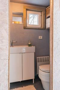 a small bathroom with a sink and a toilet at Beautiful Tiny house on the lake side. in Trakai