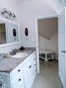 a bathroom with a sink and a mirror at Santuarios del Mar in Bocas Town