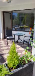 Zahrada ubytování M7 Villa Bed& Bistro