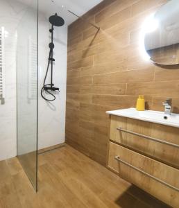 een badkamer met een wastafel en een douche bij Apartments at Ljubovic Hill Park in Podgorica