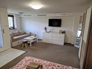 TV a/nebo společenská místnost v ubytování Apartmán U Peciho