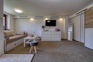 TV a/nebo společenská místnost v ubytování Apartmán U Peciho