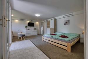 Postel nebo postele na pokoji v ubytování Apartmán U Peciho