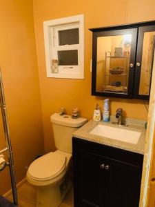 a bathroom with a toilet and a sink and a mirror at Lakefront Cottage w/ Private Beach- Niagara in Ransomville +18 photos