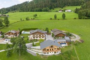 an aerial view of a house in a green field at Apartments Untersüßgut Eben in Eben im Pongau