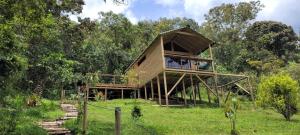a tree house in the middle of a field at Caralsol Glamping in Rionegro
