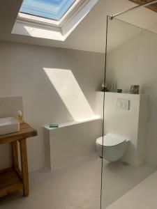 a bathroom with a toilet and a skylight at Chez Beth in Saint-Rémy-de-Provence