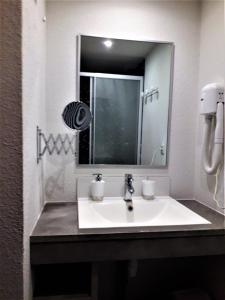 a bathroom with a white sink and a mirror at Gîte Le Cerf de Belledonne in Sainte-Agnès