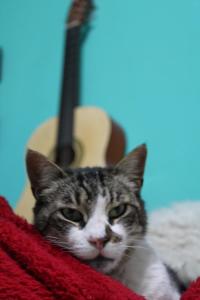 Gallery image of Hostal brons in Valparaíso +67 photos