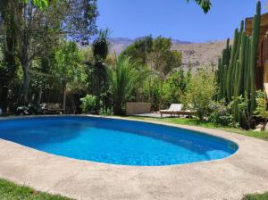 a blue swimming pool in a yard with a bench at El Jardín Secreto-Pisco Elqui in Pisco Elqui