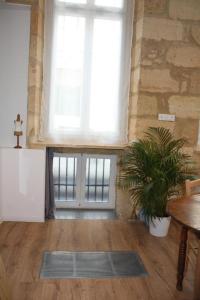a room with a large window and a potted plant at Le Clos Beaufleury in Bordeaux