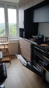 a kitchen with an oven and a table and two windows at Appartement Hyper centre - Quartier du château de Vire in Vire