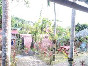 Sodas prie apgyvendinimo įstaigos Nazri Nipah Camp Pangkor