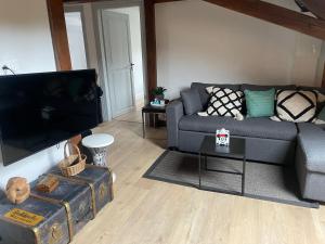 sala de estar con sofá y TV de pantalla plana en Appartement 3 pieces centre du Hohwald # 201 en Le Hohwald