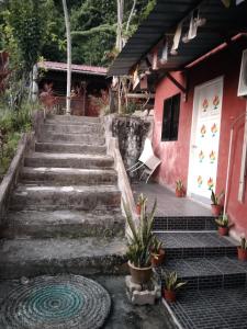 Sodas prie apgyvendinimo įstaigos Nazri Nipah Camp Pangkor