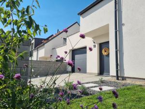 Zahrada ubytování Dům na jihu Mikulov s finskou saunou