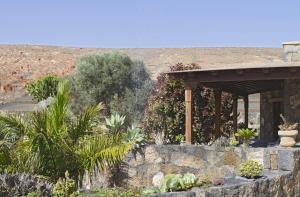 a garden with a stone wall and a pavilion at Villa Remedios in Teguise