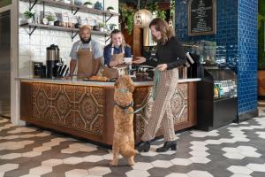 Una donna con un cane in piedi al bancone di Hotel Saint Clair - Magnificent Mile a Chicago