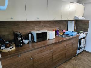 a kitchen counter with a microwave and a sink at iVAVev Is Us byTheSea Constanta in Constanţa