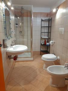 y baño con ducha, aseo y lavamanos. en Mini appartamento vicino Roma, en Fiano Romano