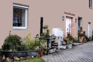 a row of potted plants in front of a building at Pension Muldental Großbothen in Grimma