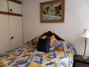1 dormitorio con cama con almohada en Elegante departamento, lavadora, sauna, jacuzzi, en Quito