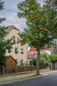 ein Haus und ein Baum an der Straßenseite in der Unterkunft Pension Muldental Großbothen in Grimma
