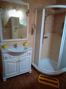 a bathroom with a sink and a shower with a mirror at Acogedora casa de pueblo con piscina in Fuenteheridos